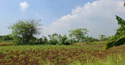 S M Property Tanah Kavling Pasar Kemis Tangerang