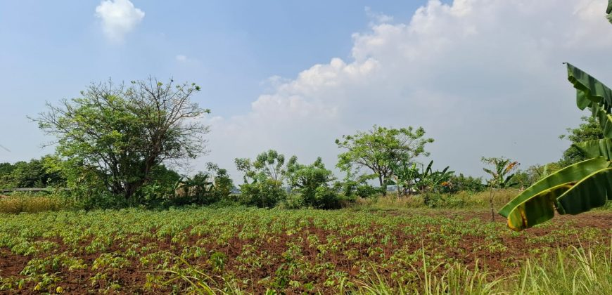 S M Property Tanah Kavling Pasar Kemis Tangerang