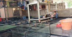 S M Property Rumah Cluster Mutiara Legok Tangerang