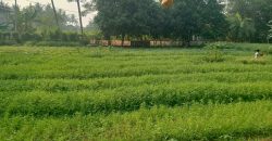 S M Property Tanah Paku Haji Tangerang
