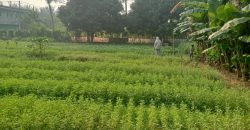 S M Property Tanah Paku Haji Tangerang
