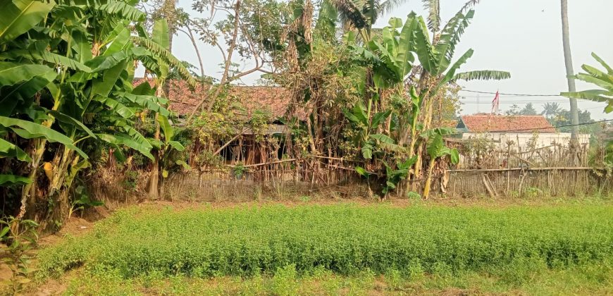 S M Property Tanah Paku Haji Tangerang