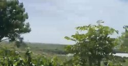 S M Property Tanah Pinggir Teluk Jerowaru Lombok Timur
