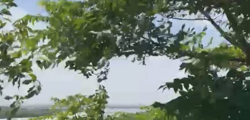 S M Property Tanah Pinggir Teluk Jerowaru Lombok Timur