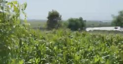 S M Property Tanah Pinggir Teluk Jerowaru Lombok Timur