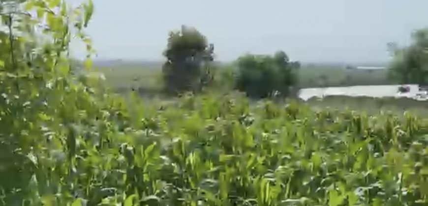 S M Property Tanah Pinggir Teluk Jerowaru Lombok Timur