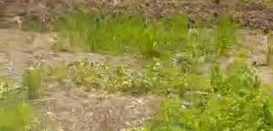 S M Property Tanah Graha Balaraja Tangerang