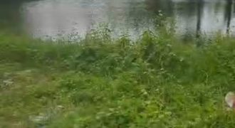 S M Property Tanah Graha Balaraja Tangerang