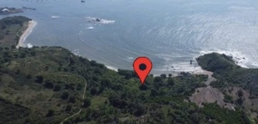 S M Property Tanah Pujut Lombok Ntb