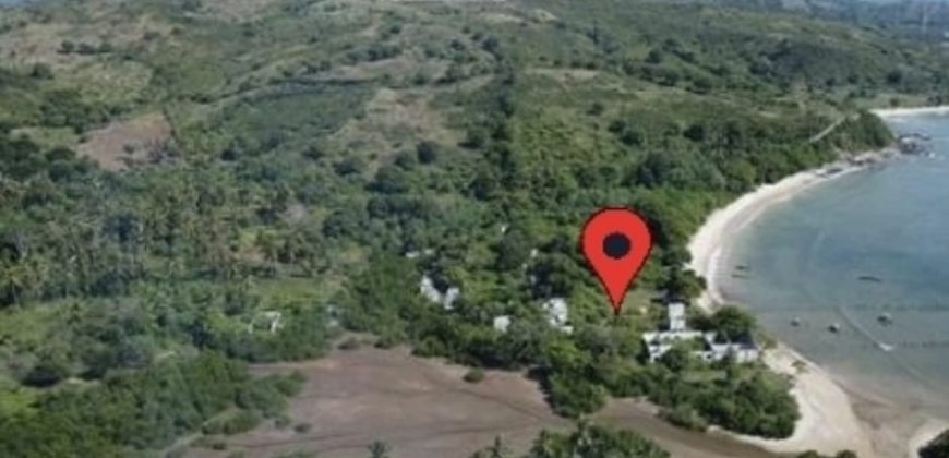 S M Property Tanah Pujut Lombok Ntb