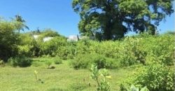 S M Property Tanah Pujut Lombok Ntb