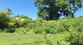 S M Property Tanah Pujut Lombok Ntb