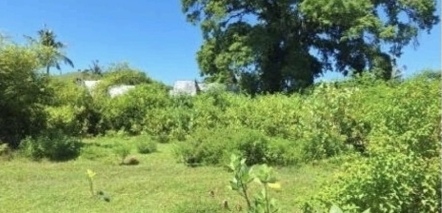 S M Property Tanah Pujut Lombok Ntb