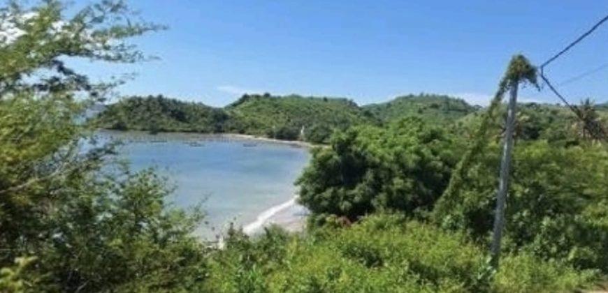S M Property Tanah Pujut Lombok Ntb